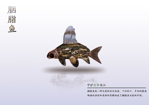 醫(yī)藥創(chuàng)新攜手長(zhǎng)江文化 守護(hù)水生生物公益海報(bào)設(shè)計(jì)大賽